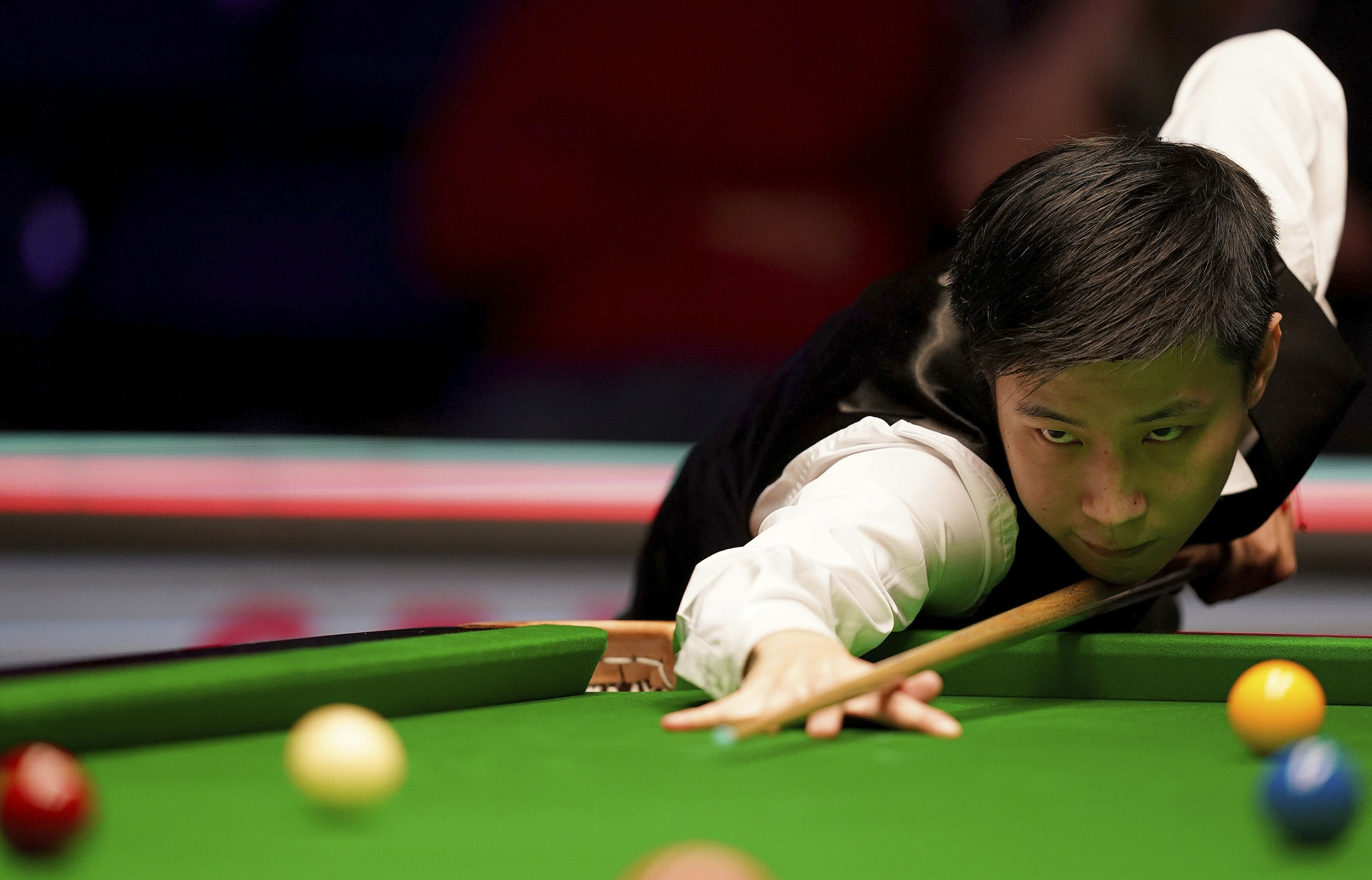 界持续关注 界持续关注