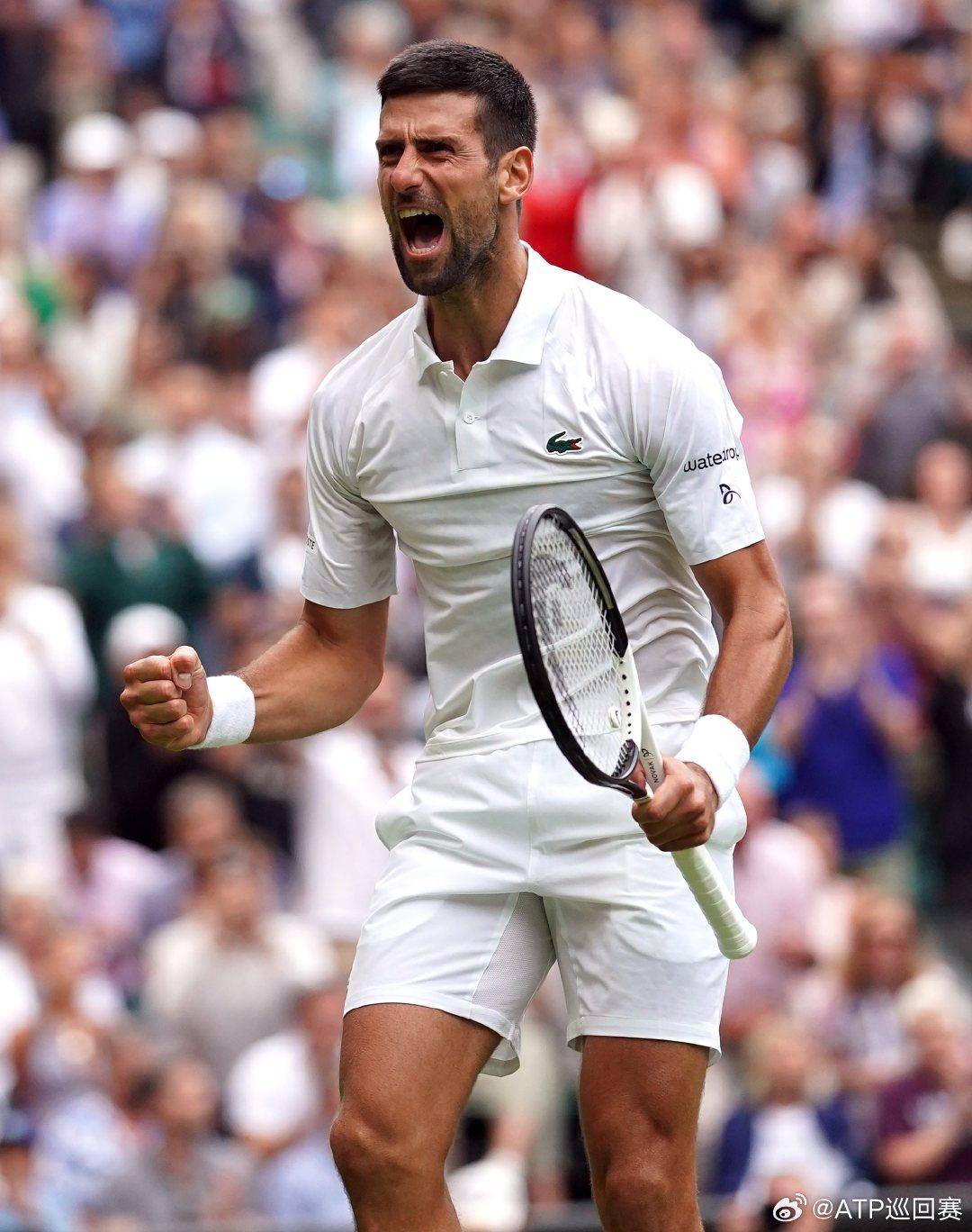 国网球巡回 国网球巡回