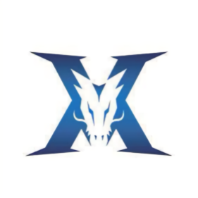 对细节的执 对细节的执