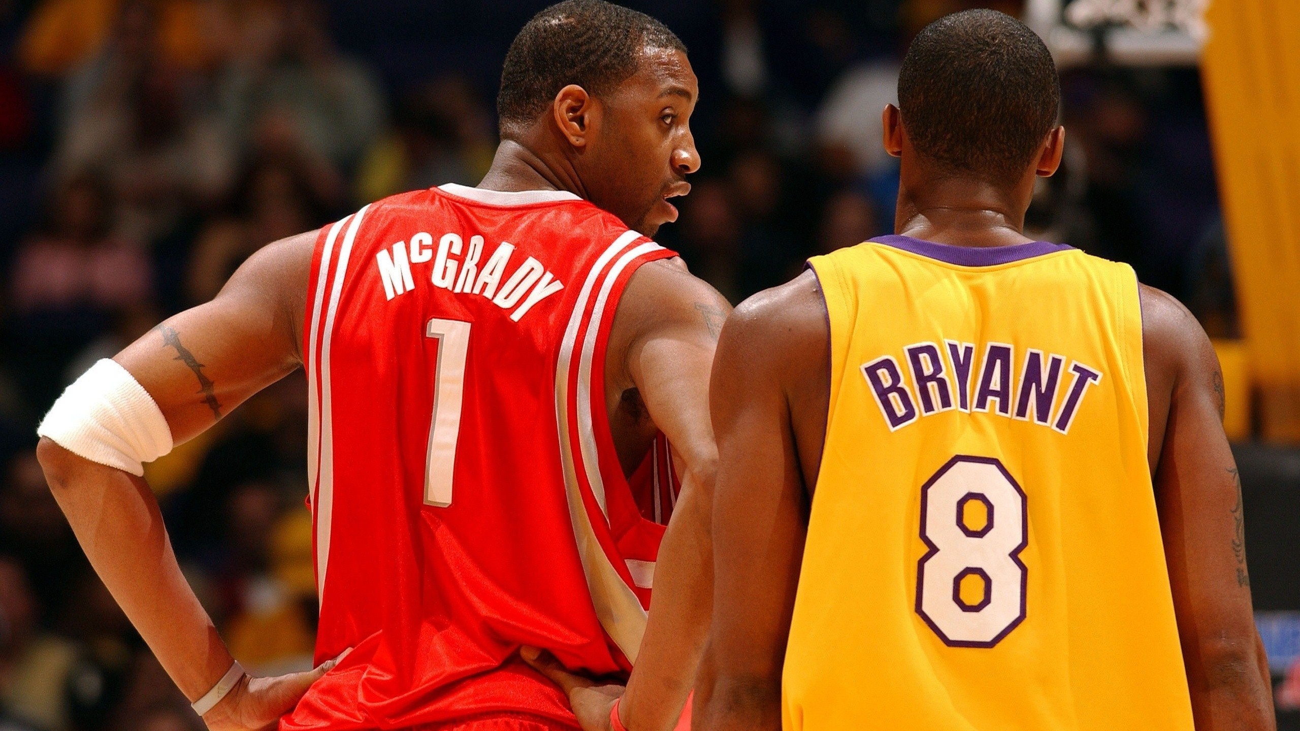 在四月观察 在四月观察