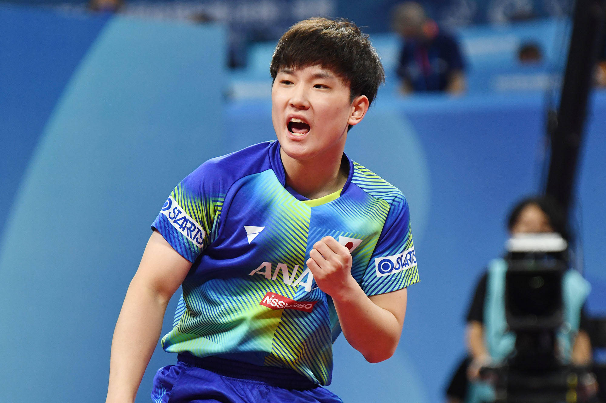 对手预设的 对手预设的